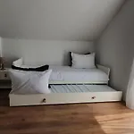 Masline Jasenice (Zadar)