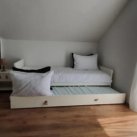 Masline Jasenice (Zadar)