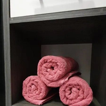 Masline * Jasenice (Zadar)