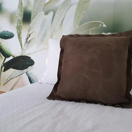 Masline Jasenice (Zadar)